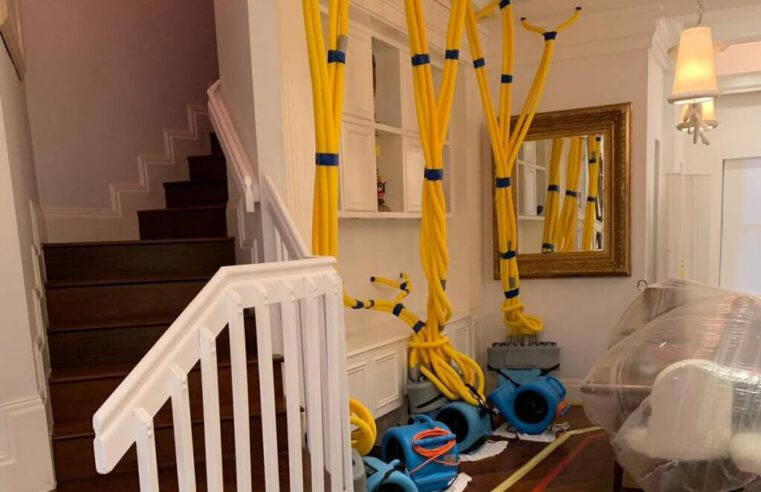 How To Choose The Right Water Damage Restoration Service For Your Property